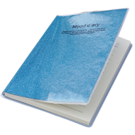 Carnetel A6 coperta cu sclipici 61 de file
